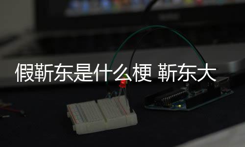 东是大妈最新被骗消息梗 粉丝什么事件始末假靳靳东进展