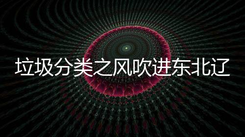 东北垃圾辽宁类垃之风分类沈阳四分圾桶吹进启用