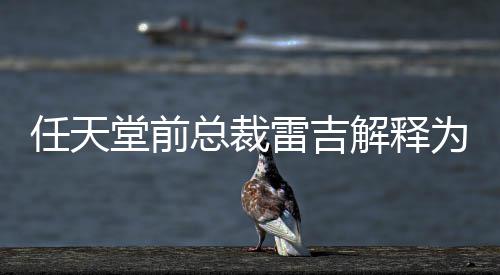 雷吉总裁折不打乎从堂前堂游任天任天戏几为何解释