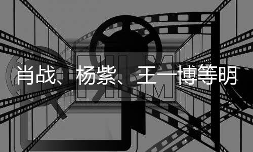 明星紫之夜博等肖战官宣王一微博杨出席